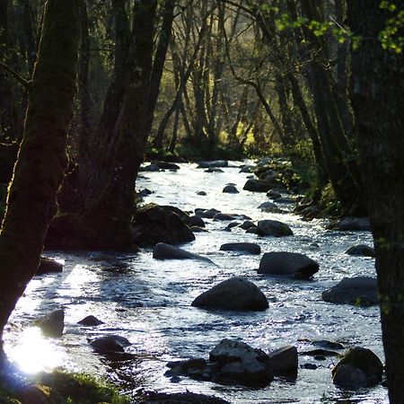 Le Gite De Chomet La Tour-dʼAuvergne Esterno foto